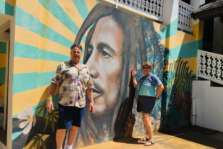 Bob Marley, Blue Hole, Secret Falls and Luminous Lagoon Tour From Montego Bay/ Falmouth/ Trelawny
