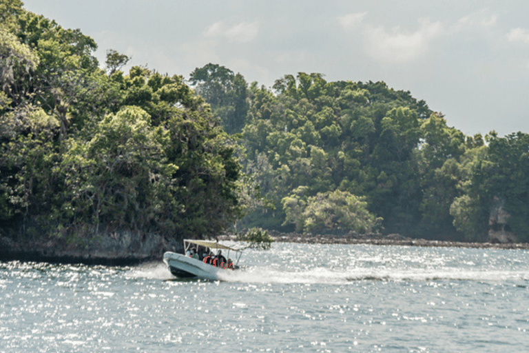 Punta Cana: Tour Samana All Included Cascada Limon whales