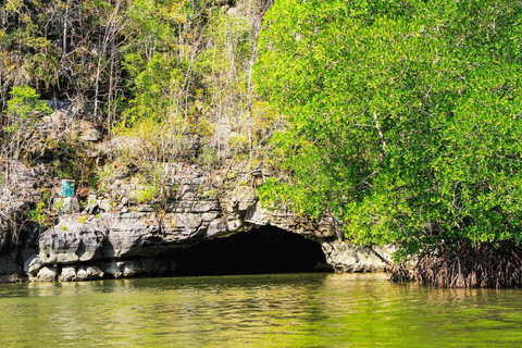 Langkawi: 3 Hours Private Mangrove Kilim Geoforest Boat Tour