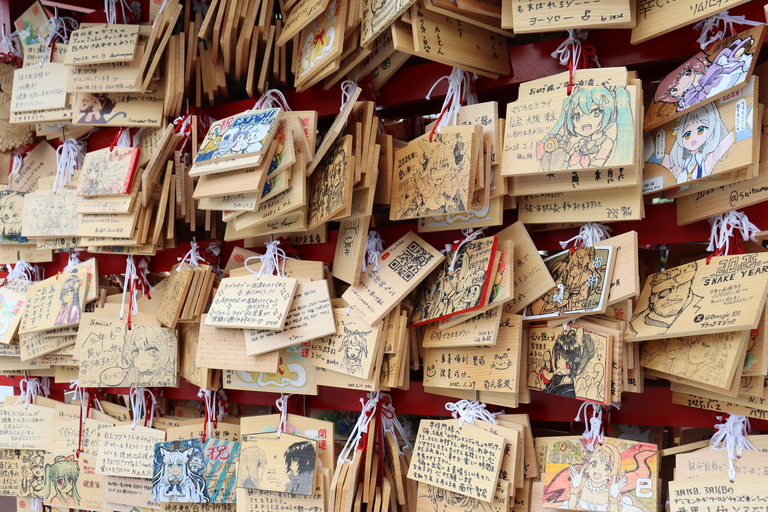 Tokyo Morning Highlights: Shibuya, Asakusa, Meiji-SchreinPrivate Tour