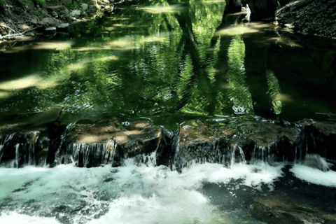 Hangzhou: Longjing Tea Culture & Nine Creeks Day Tour