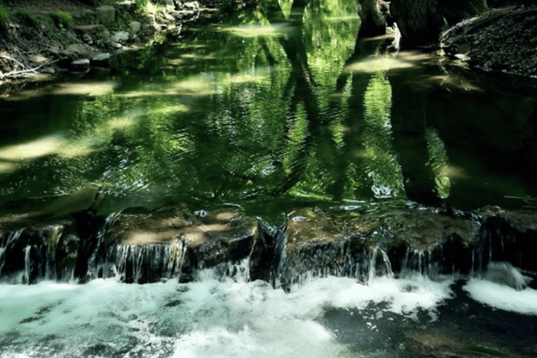 Hangzhou: Longjing Tea Culture & Nine Creeks Day Tour