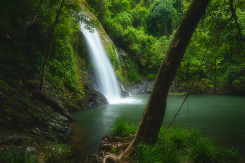 Daintree waters tour, all terrain vehicles and light lunch.