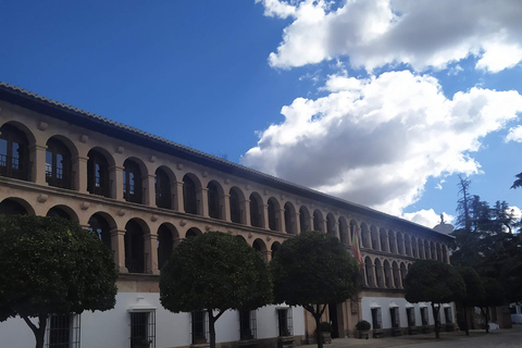 Tour particular em RondaTour particular em Ronda (FR)