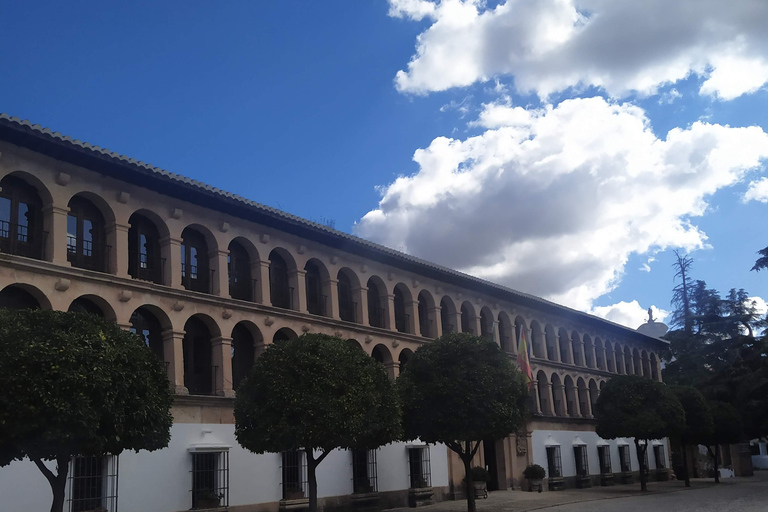 Private tour in Ronda