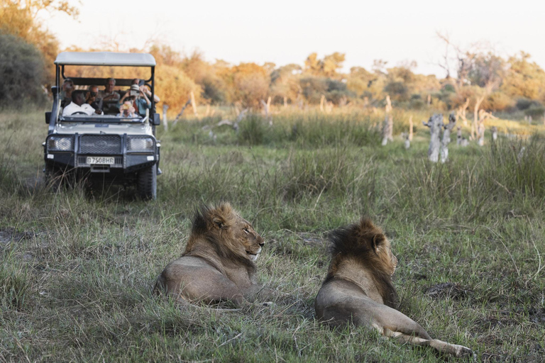 Botswana: Savuti, Khwai, & Moremi 7-Day Mobile Safari