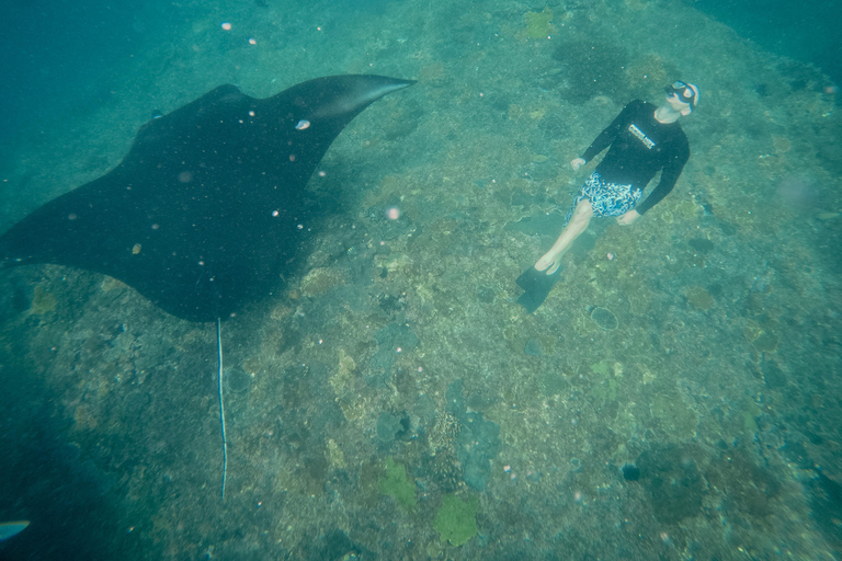 Nusa Penida: Snorkeling 3 Spots with GoPro & West Land Tour Snorkeling 3 Spots with West Land Tour - Meet at Penida Port