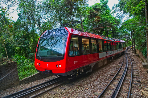 Rio: Tour combinato del Cristo Redentore in treno e del Pan di Zucchero