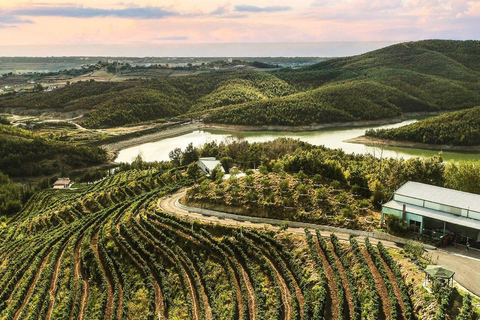 Tour di degustazione del vino, tour facoltativo della cantina e gite in kayak