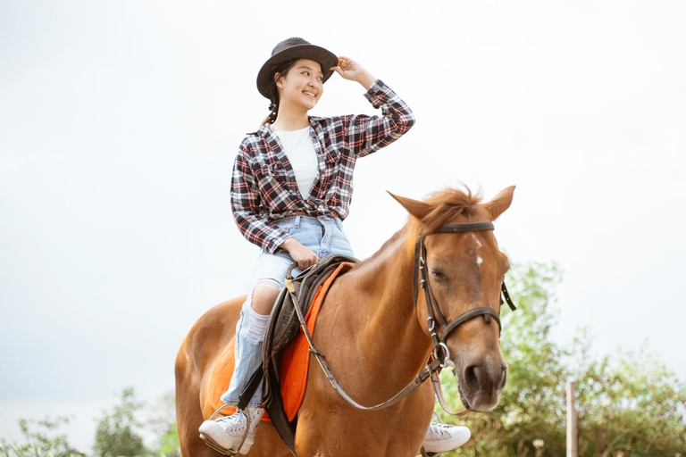 Best Horse Riding Safari Tour from Bangalore