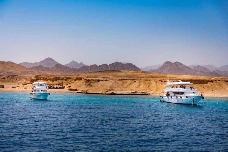 Sharm El Sheij: Crucero en barco de lujo con snorkel y almuerzoSharm El Sheij: Crucero por el Parque Natural con snorkel y almuerzo