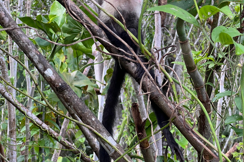 Panamá : Tour en bateau et faune sur le lac Gatun