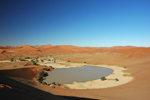 Namibia in a Nutshell: 3-Day Sossusvlei & Swakopmund Express