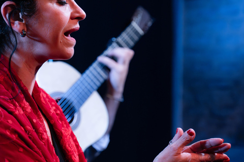 Málaga: E-Bike City Tour with Gibralfaro Forest Group E-Bike City Tour