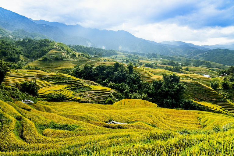 Sapa: Motorbike Tour to Drgon Waterfall