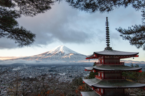 Desde Tokio: Excursión privada de un día al Monte Fuji y Hakone