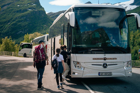 Geiranger: Panorama Bus Tour (Highlights viewpoint) Geiranger: Panorama bus tour Eaglebend - Flydalscanyon 1,5 h