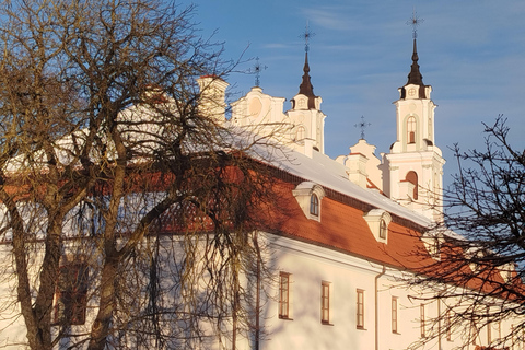 Vilnius: Guided Baroque City Tour