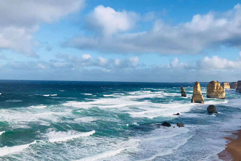 Melbourne : Circuit d&#039;une journée sur la Great Ocean Road avec les lieux emblématiques