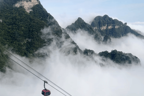 Vertical Heights: A 2-Day Private Discovery of Zhangjiajie