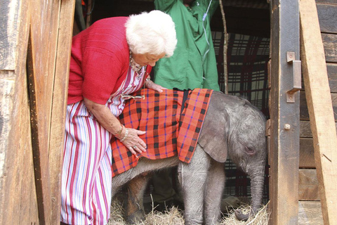 Nairobi-tour naar Nationaal Park, olifanten- en giraffencentrum.