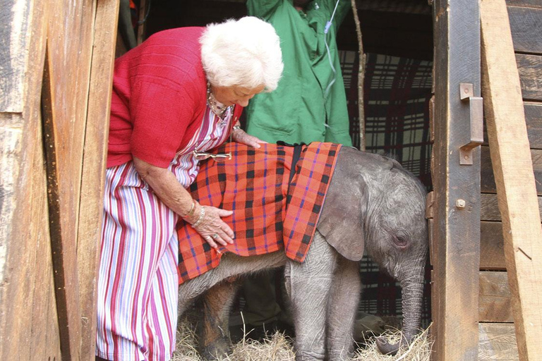 Nairobi-tour naar Nationaal Park, olifanten- en giraffencentrum.