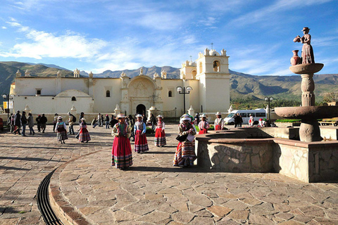 1 dagsutflykt till Colca Canyon +Transfer till Puno med måltider