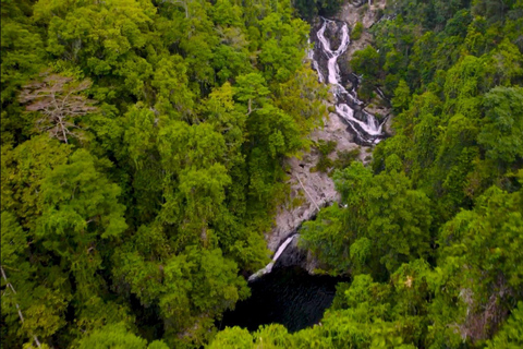 Floresta tropical Daintree: Passeio à cascata mágica com almoço e banho