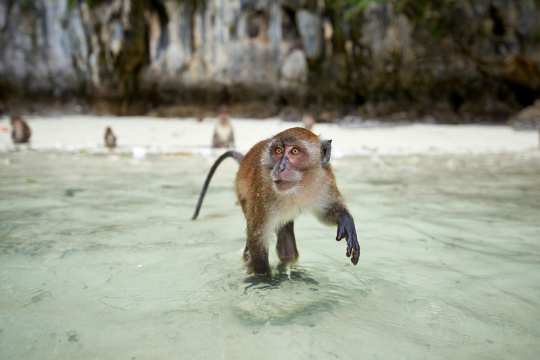 From Phuket: Phi Phi Islands, Maya Bay & Khai Islands Tour Without Transfer