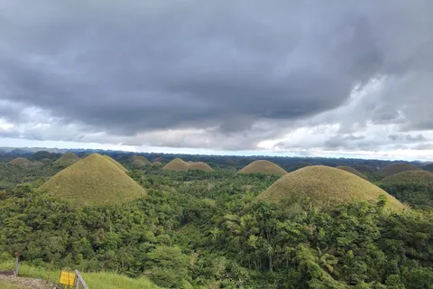 BOHOL: Excursão de um dia às colinas de chocolate, aos társios e ao rio Loboc