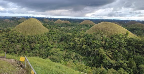 BOHOL: Chocolate Hills, Tarsiers and Loboc River Day Tour