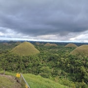 Bohol: Chocolate Hills, Tarsiers and Loboc River Day Tour