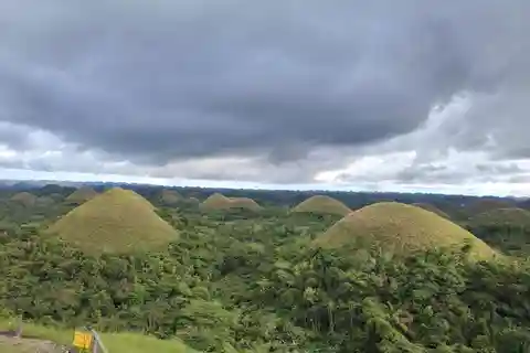 BOHOL: Chocolate Hills, Tarsiers and Loboc River Day Tour