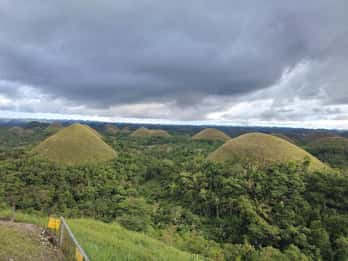 BOHOL: Chocolate Hills, Tarsiers and Loboc River Day Tour