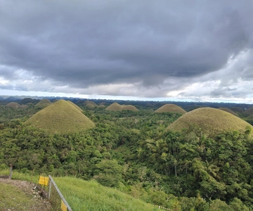 BOHOL: Chocolate Hills, Tarsiers and Loboc River Day Tour