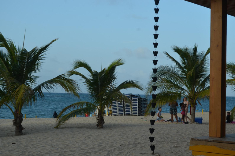 Puerto Plata: Mount Isabel Jeep Safari & City Tour