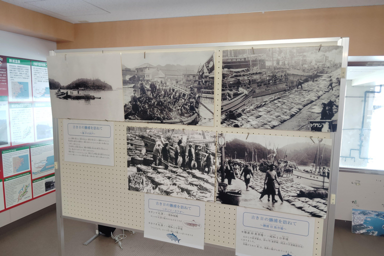 Wakayama: Learn & Taste Japan Tuna Culture in Nachikatsuura