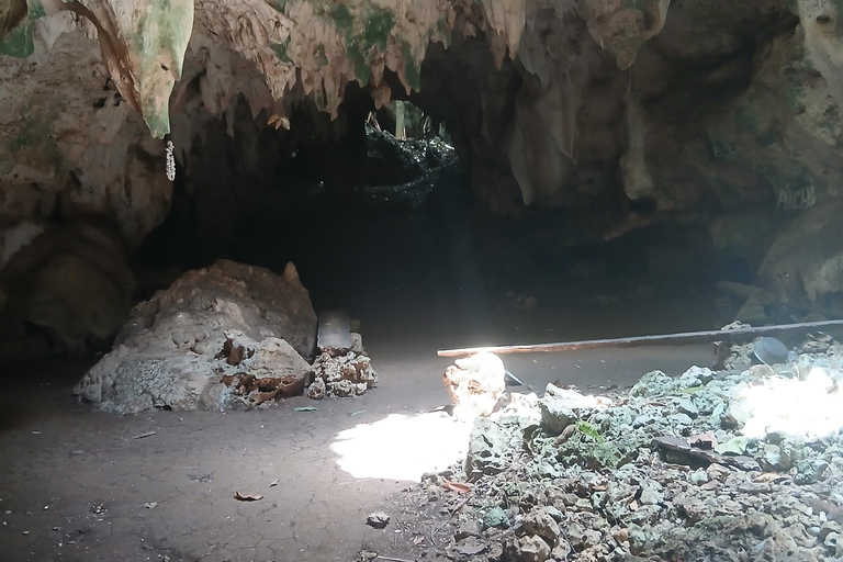 桑给巴尔：穆尤尼村之旅和姆滕德海滩放松体验私人观光（含接送服务）