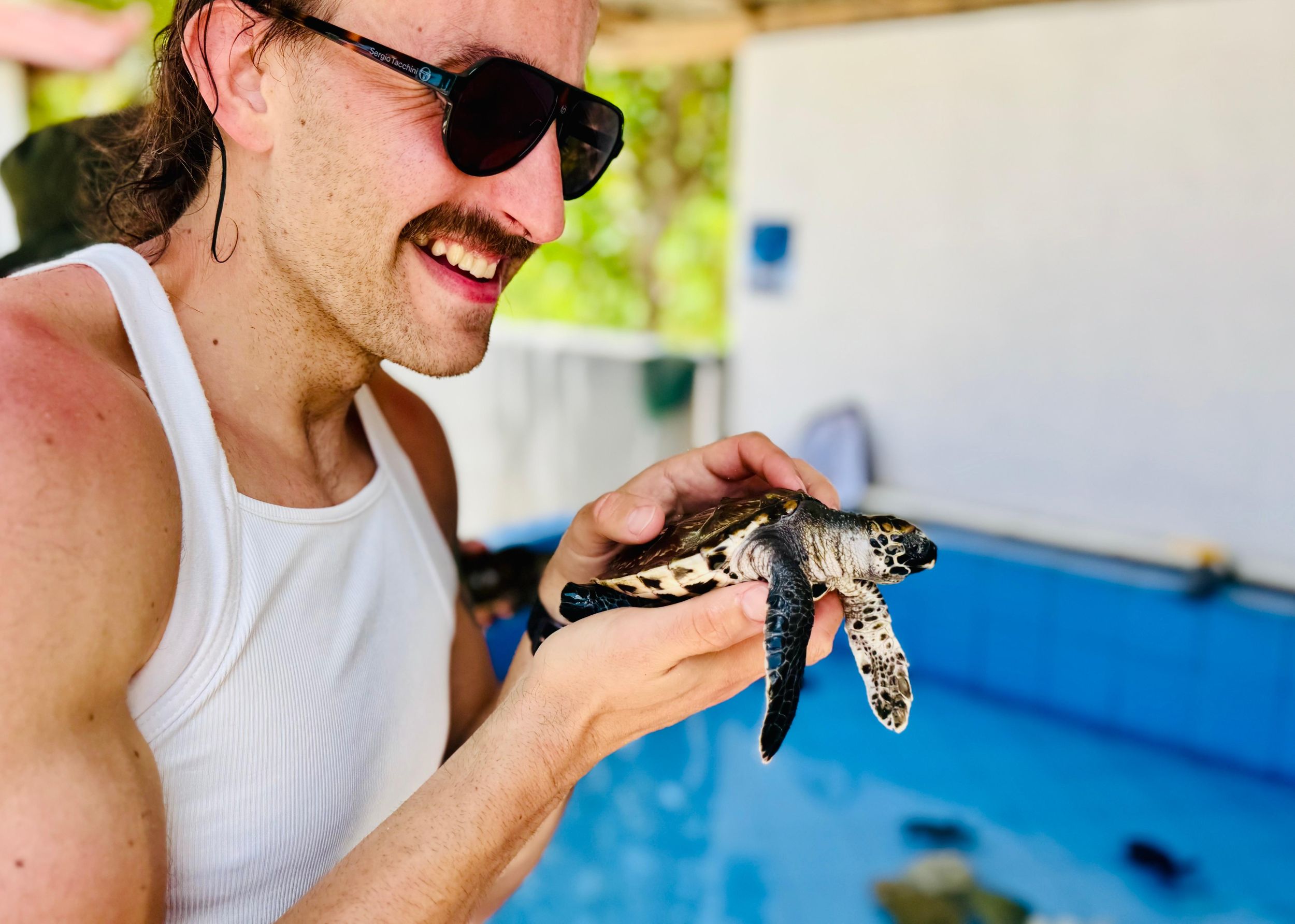 Bali: Nusa Penida: Schildkrötenschutz, riesiger Höhlentempel