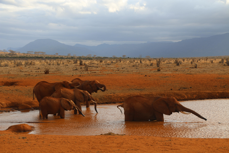 Overnight Group safari Tsavo East Safari from Mombasa/ Diani