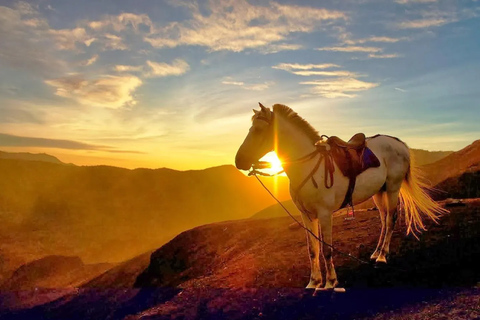 Från Yogyakarta: 3-dagars Bromo- och Ijen-tur med transfer