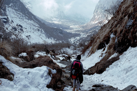 From Kathmandu: 5, 6, or 7-Day Langtang Valley Guided Trek From Kathmandu: 5-Day Langtang Valley Guided Trek