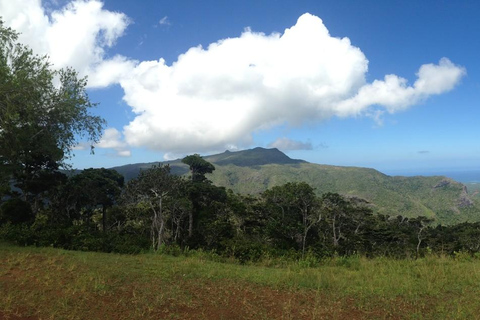 Mauritius nationalpark: Upptäck ön som den en gång var