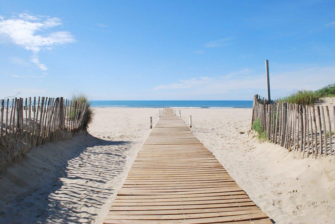 Sète – Wissenschaftlicher Ökotourismus: Spaziergang am Meer und lebendige Küste