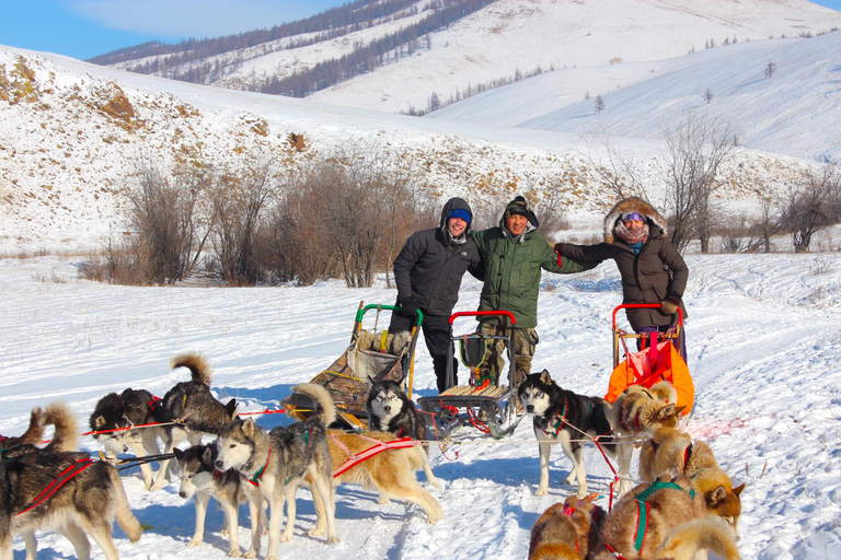 Super Combo Winter: Dogsledding and many more in Terelj Park