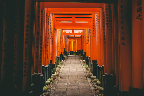 De Osaka: Excursão privada a Quioto e Nara (motorista que fala inglês)Visita Kyoto: Passeio turístico particular com motorista que fala inglês