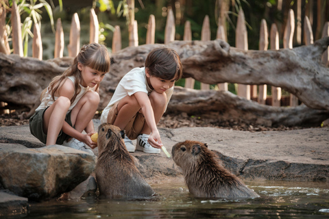 Bali Zoo: Capybara Brunch & Observation Experience Capybara Brunch Experience with Transfer