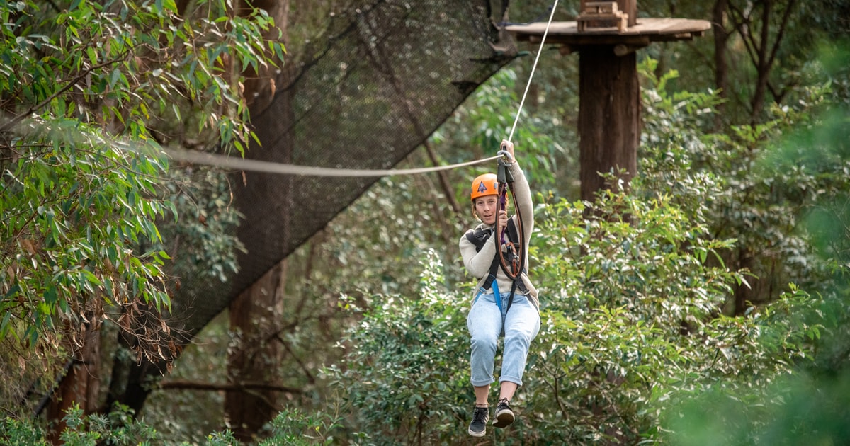 Ourimbah Central Coast Treetops Adventure Tree Ropes Course GetYourGuide