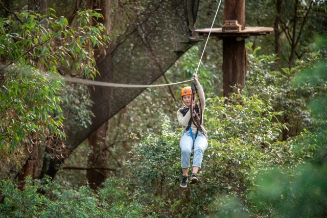 Visit Ourimbah Central Coast Treetops Adventure Tree Ropes Course in Wagstaffe, Australia