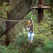 Ourimbah: Central Coast Treetops Adventure Tree Ropes Course